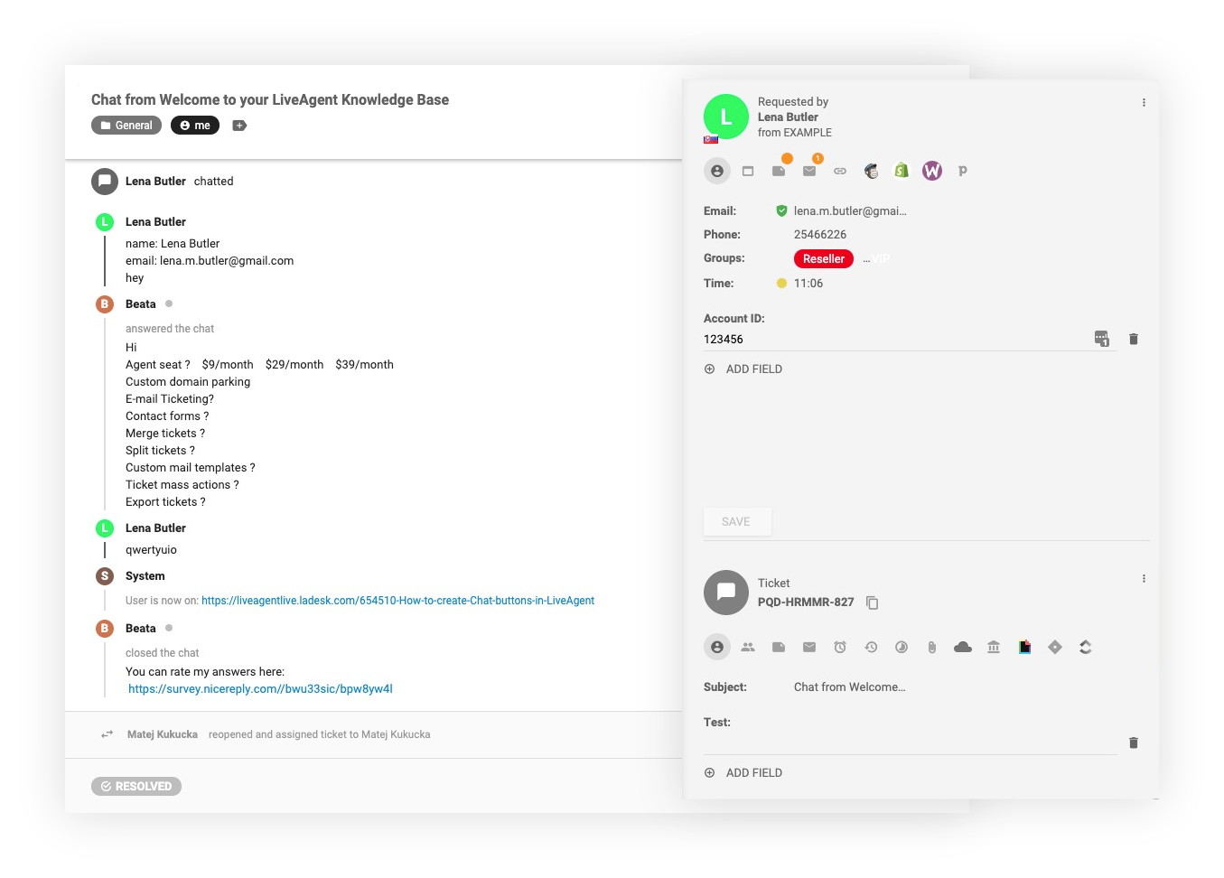 Tichet_Client-perspectivă-CRM